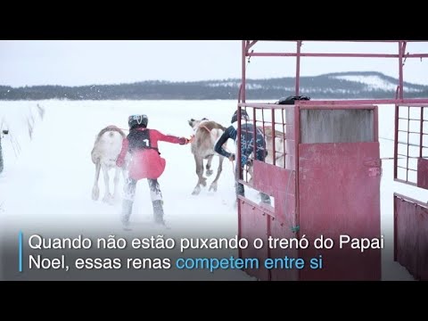 Velocidade abaixo de zero