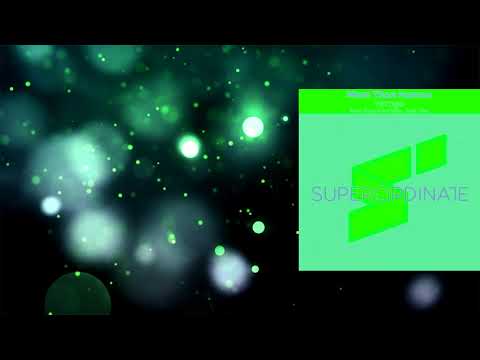 More Than Human - Vertigo (Paul Hamilton Rmx)