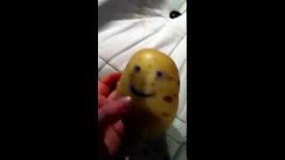 Mash potato song