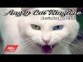 Angry Cat Ringtone