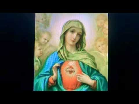 Imagen de previsualización de YouTube