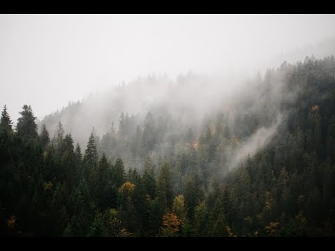 Surturs Lohe - Nebelthronend Wälder (HD)