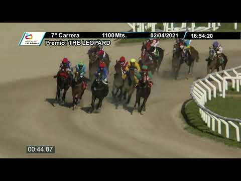 210402 c07 - MARY WATCH - HIPODROMO LAS PIEDRAS