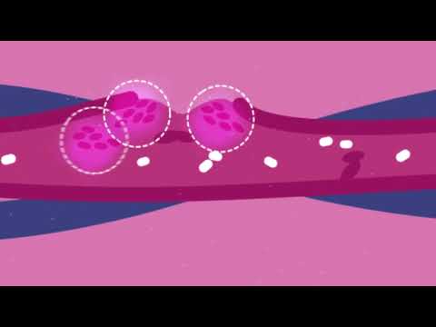 How COVID-19 Affects Your Blood