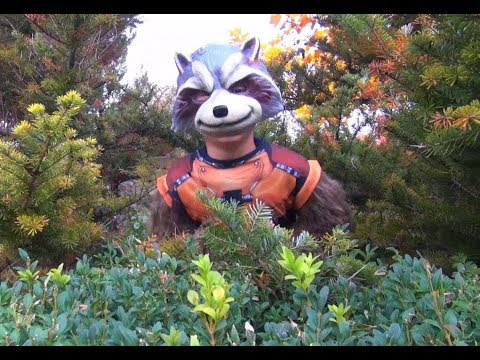 Rocket Raccoon Child Costume Video Review
