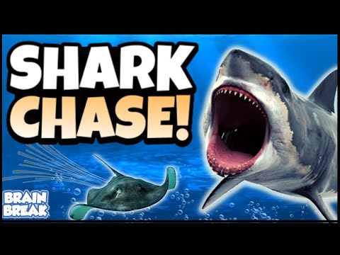 Shark Chase | Underwater Brain Break | GoNoodle Inspired