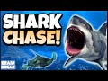 Shark Chase Underwater Brain Break GoNoodle Inspired