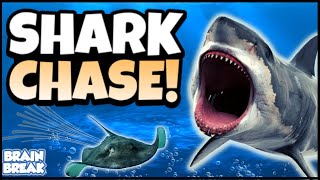 Shark Chase - Underwater Adventure