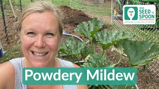 Easy DIY Treatment for Powdery Mildew! (White Blotches on Leaves)