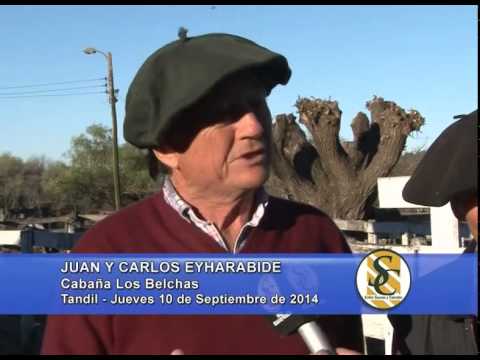 Los Belchas - Juan y Carlos Eyharabides - Ledesma y Arana S.R.L. - Tandil - 10/09/2014