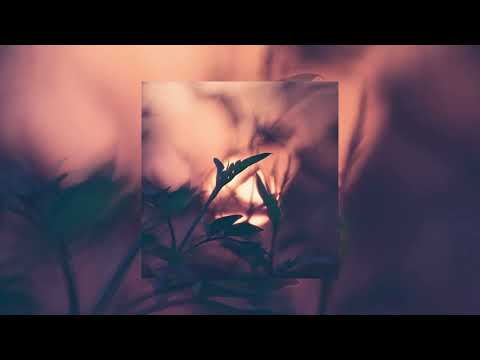 Bliss Looper, Equanimous - Samadhi