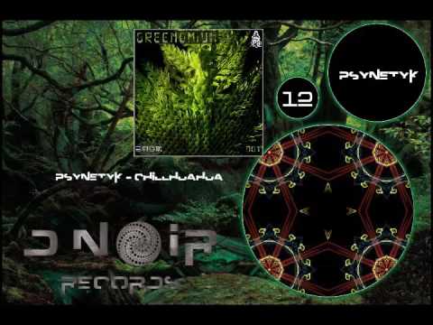 12 - Psynetyk -  Chilhuahua