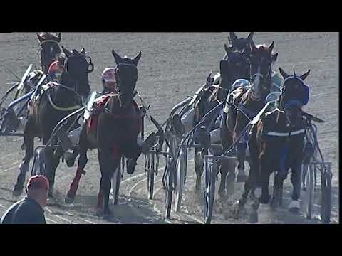 Napoli Trotto 12/05/2023 - 8ª corsa