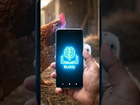 AI Study buddy
