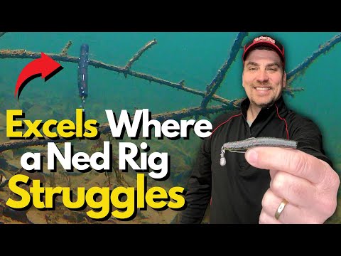 The PERFECT Replacement for the Ned Rig