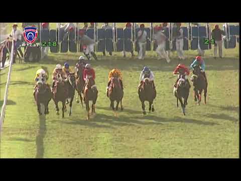 RM21 R8 | Nourbese | P.C.Orffer