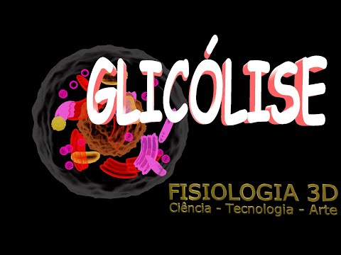 Class 14 - Glycolysis (formation of ATP and NADH+H in the cell cytoplasm with the help of glucose)
