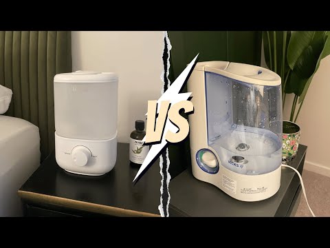 Cool Vs Warm Air Humidifier: What's The Right Choice?