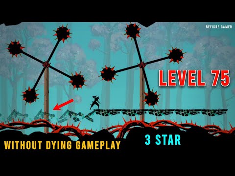 Ninja Arashi 2 Level 75