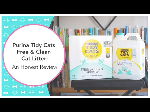 YouTube video about: Why is there a shortage of tidy cat cat litter?