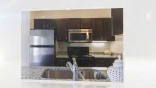 preview picture of video 'Princeton Westford Apartments in Westford MA'