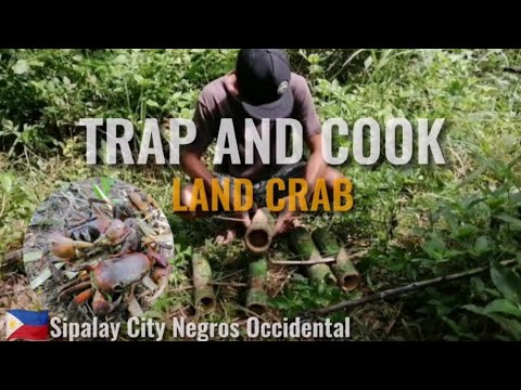 EP4 - TRAP AND COOK "KURAY" LAND CRAB  USING BAMBOO TRAP "PASGONG" | SIPALAY CITY NEGROS OCCIDENTAL