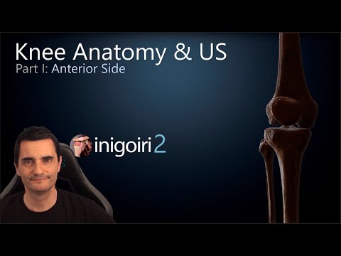 Anterior Knee Ultrasound – Anatomy & Scanning Technique | MSK Ultrasound Series (Part 1)