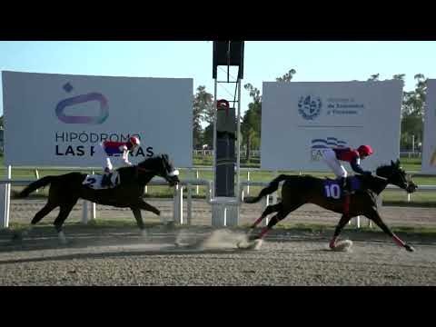 221014 c10 - CHAPISTA - HIPODROMO LAS PIEDRAS