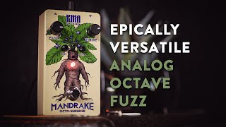 Video thumbnail for KMA Machines Mandrake Octo Shrieker Demo by The Pedal Zone