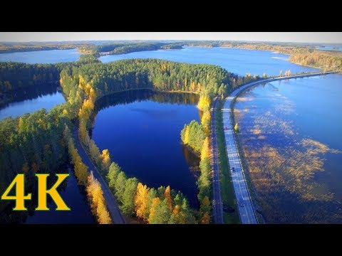 Flying above Finland Punkaharju Ridge  4K  autumn colors