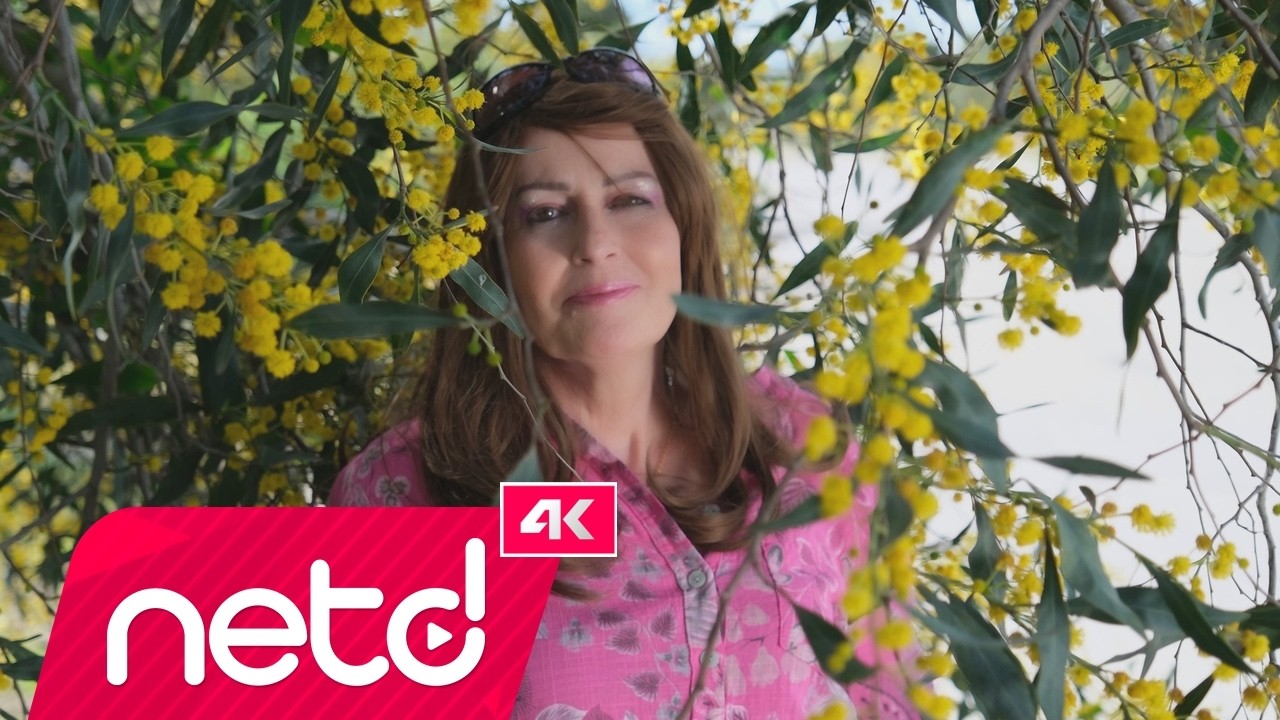 Hanife Aydı - Geldik Gidiyoruz