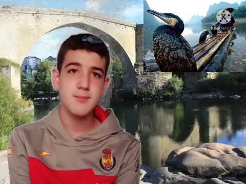 Vídeo: Aves urbanas de Ourense