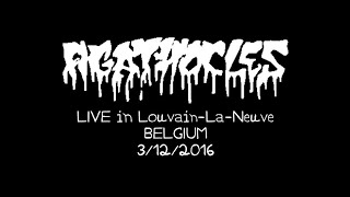 AGATHOCLES / Louvain-La-Neuve 03/12/2016 - FULL SHOW