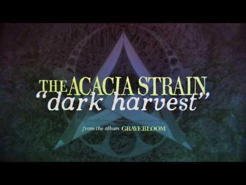 Video thumbnail for Dark Harvest