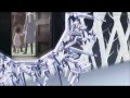 [Vampire Knight AMV] Numb|Linkin Park 