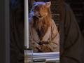 What Did Splinter Say?