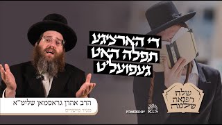 RCCS - Rav Aron Grossman | כי לא תחפוץ במות המת! | רבי אהרן גראסמאן | שלח רפואה שלימה