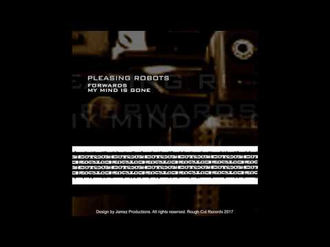 Pleasing Robots - Our Mind Is Gone