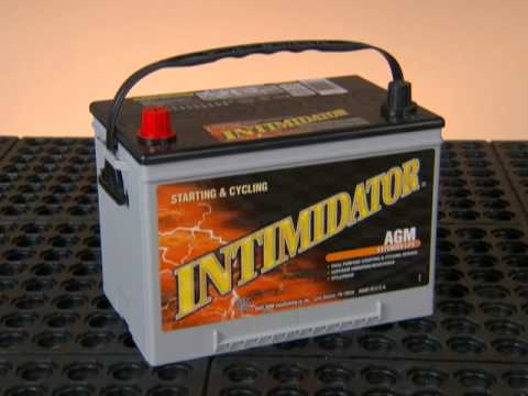 Intimidator - What's Inside