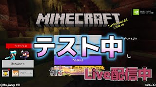 「配信テストワールド」or「test world」