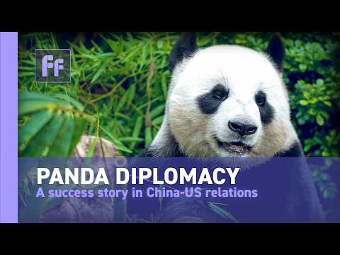 Panda Diplomacy- a success story of China US collaboration