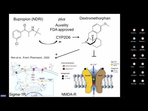GENOA 2024 Ferdinando Nicoletti On new antidepressants