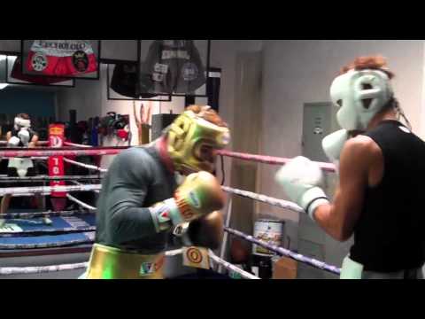 Saul Alvarez vs. Nobuhiro Ishida