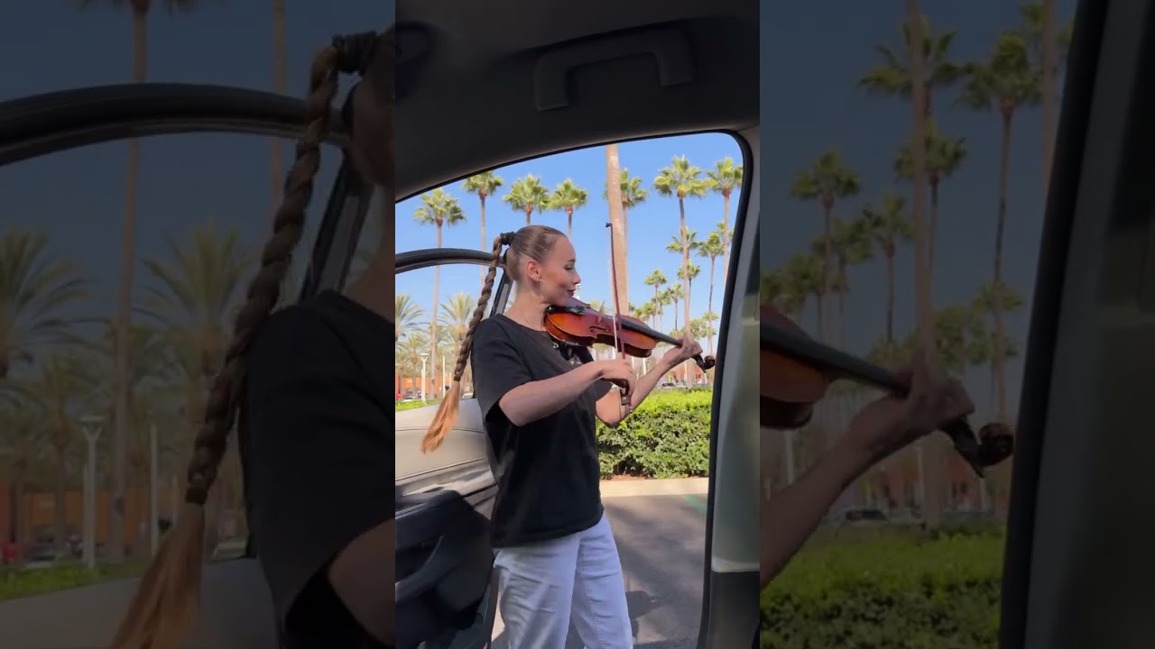 Promotional video thumbnail 3 for Inskymoon — Solo Violinist