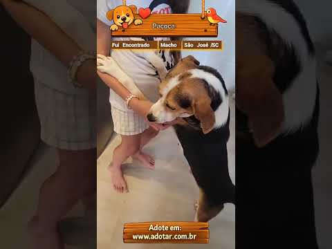 Vídeo de Paçoca