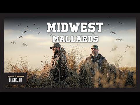 Covered up in DUCKS! | Kansas and Oklahoma Waterfowl Hunting