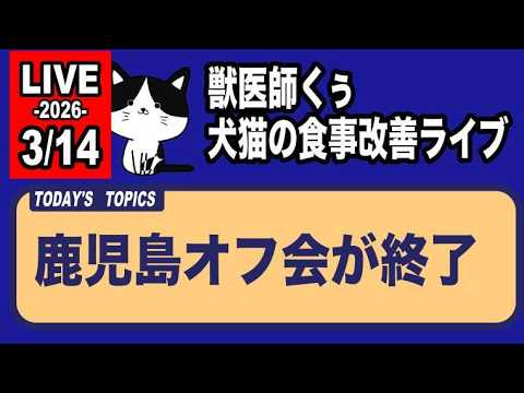 鹿児島オフ会が終了しました【アーカイブは3/13まで】