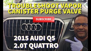 2011-2025 AUDI Q5 2.0T QUATTRO - Bad Vapor Canister Purge Valve