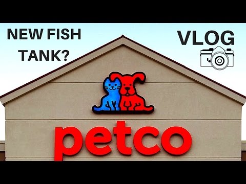 VLOG: GETTING A NEW FISH TANK