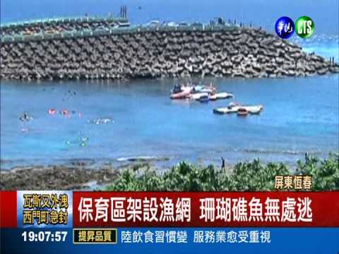 保育區捕珊瑚礁魚 囂張男遭活逮